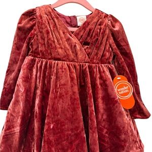Wonder Nation Burgundy Velvet Dress